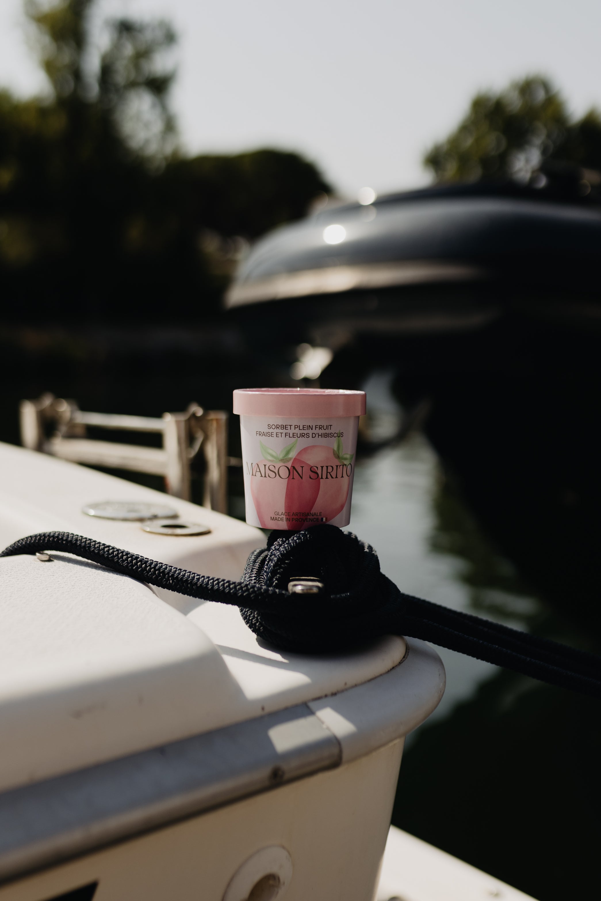 Sorbet plein fruit fraise fleur d’hibiscus