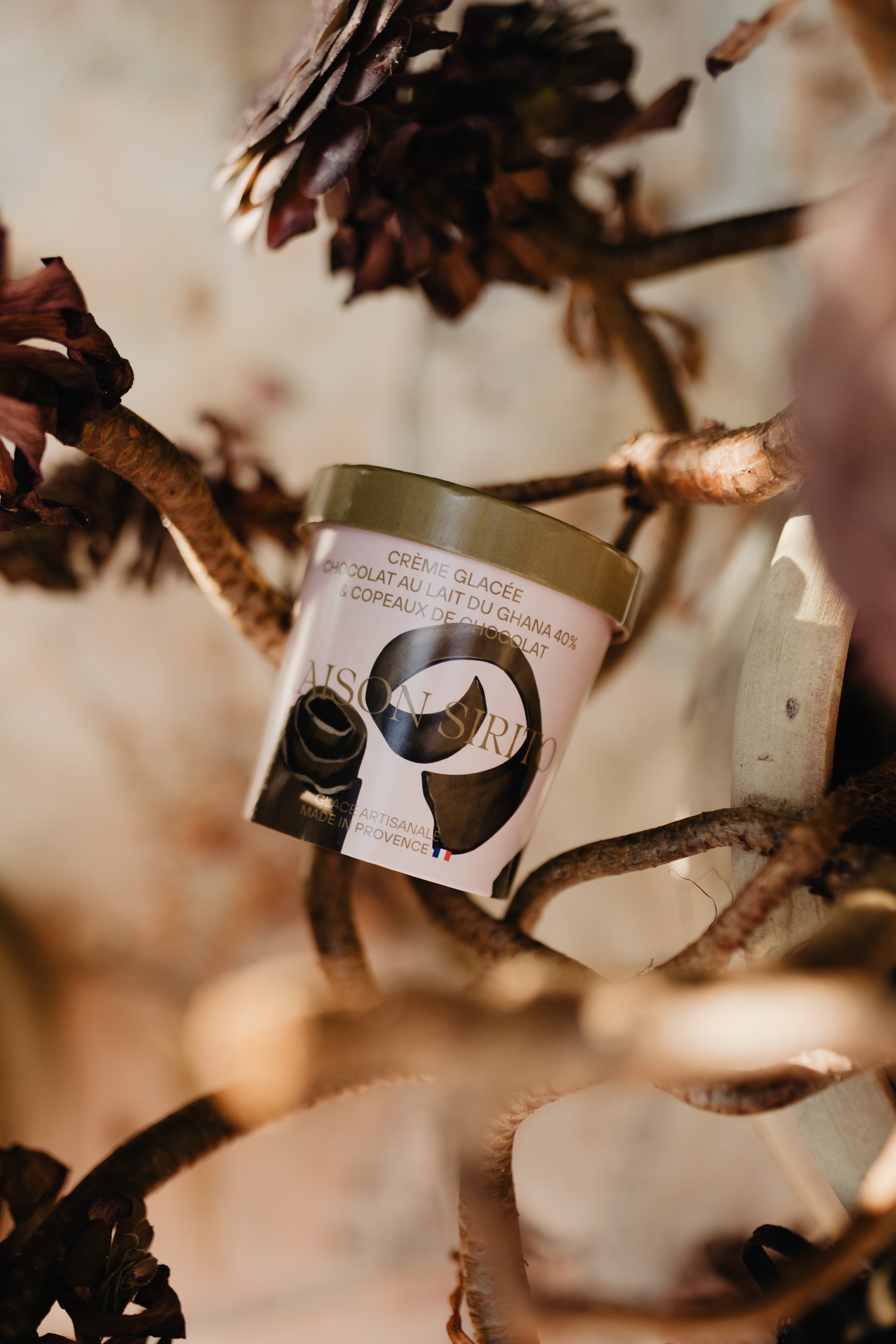 Crème glacée chocolat au lait & copeaux