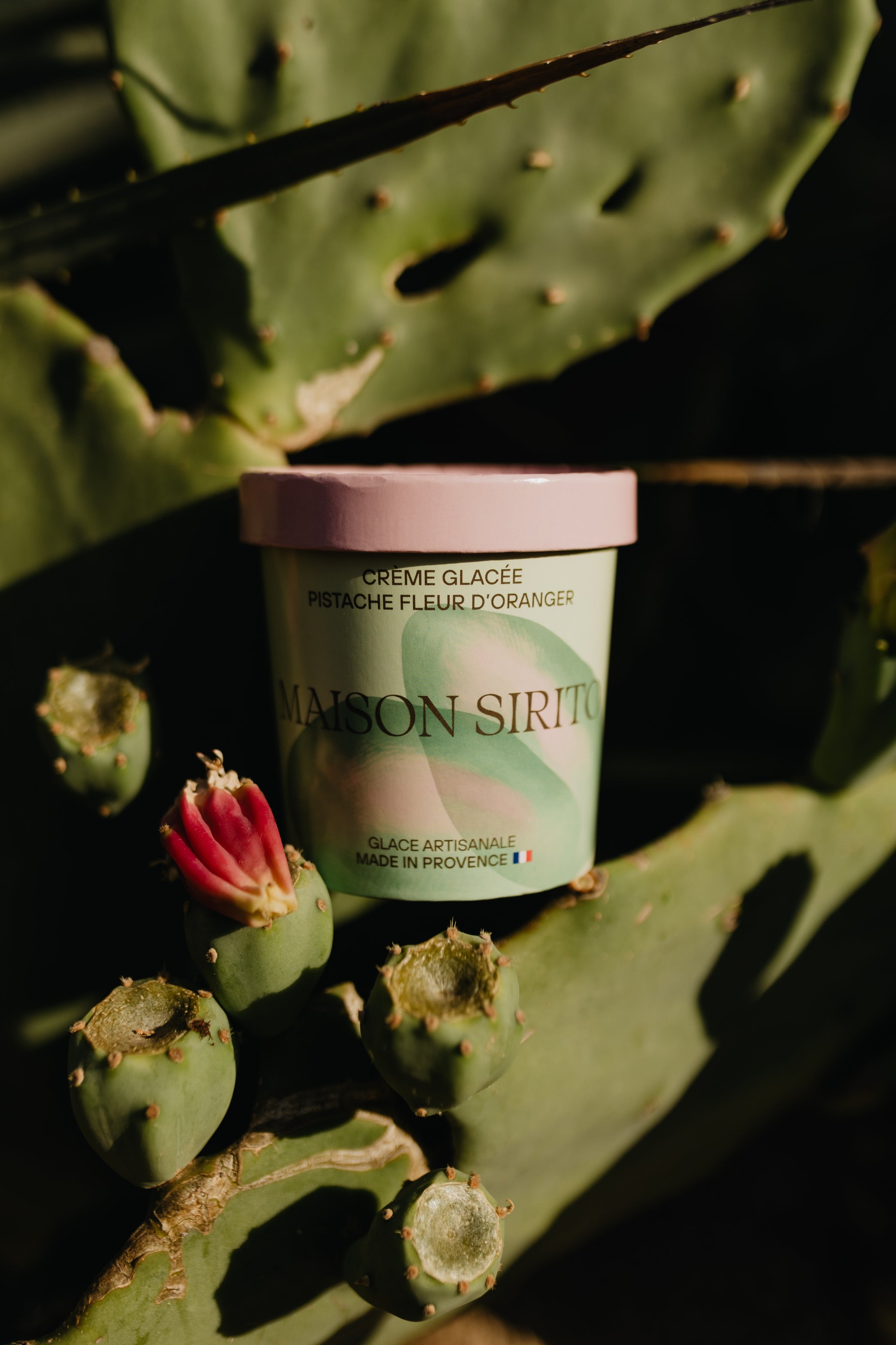 Crème glacée Pistache & fleur d’oranger
